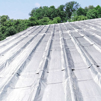 Leak Proof SBS Asphalt Self Adhesive Foundation Membrane Waterproof