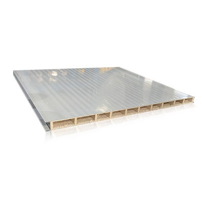 Cleanroom Indoor Hollow Glass Magnesium Board Purification Thermal Insulation Sandwich Panels